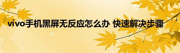 vivo手机黑屏无反应怎么办 快速解决步骤